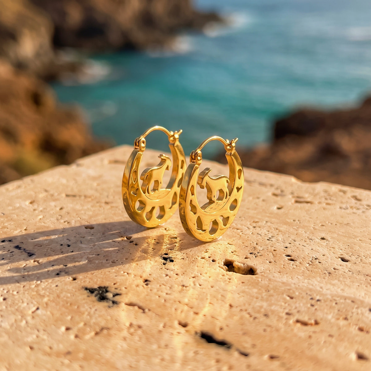 Argollas El Baifo 8 Islas Canarias